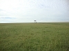 comp_dsc02649