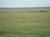 comp_dsc02650