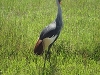 comp_dsc03049