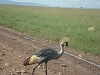 comp_dsc03054