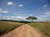 comp_dsc03056