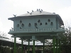 comp_img_0965-1