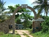comp_mwazaro-beach-pili-pipa-056