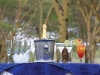 comp_cocktail4