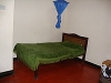 comp_dsc02981