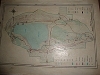comp_dsc02988