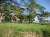 comp_dsc03023