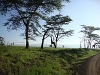 comp_dsc03025