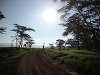comp_dsc03026