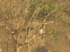 comp_img_0021-1