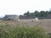 comp_img_1000