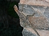 comp_img_1012