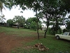 comp_dsc03331