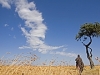 comp_olseki-ndorobo-tracker-walking