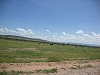 comp_dsc03031