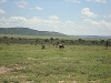 comp_dsc03032