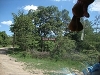 comp_dsc03034