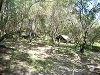 comp_dsc03037