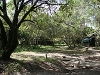comp_dsc03039