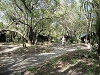 comp_dsc03040