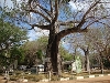 comp_dsc03194