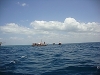 comp_dsc03207