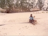 comp_robinson-island-shamshu-family-19910010