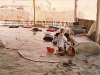 comp_robinson-island-shamshu-family-19910019