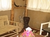 comp_img_0346