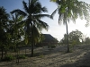 comp_img_0355