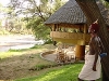 comp_samburu040