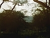 comp_qd0141005
