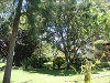 comp_dsc03386