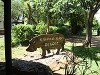 comp_dsc03398