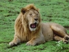 lofty_tours_kenia_tierwelt_65