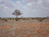 comp_dsc00012