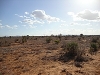 comp_dsc00025