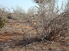 comp_dsc00027