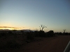 comp_dsc00041