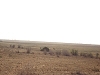 comp_dsc00054