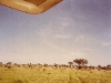 comp_tsavo-salt-lick-safri-mit-muehlheimer-19930010