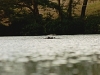 comp_qd0001007