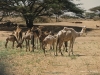 baragoi-south-horr01