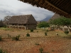 comp_pict0492